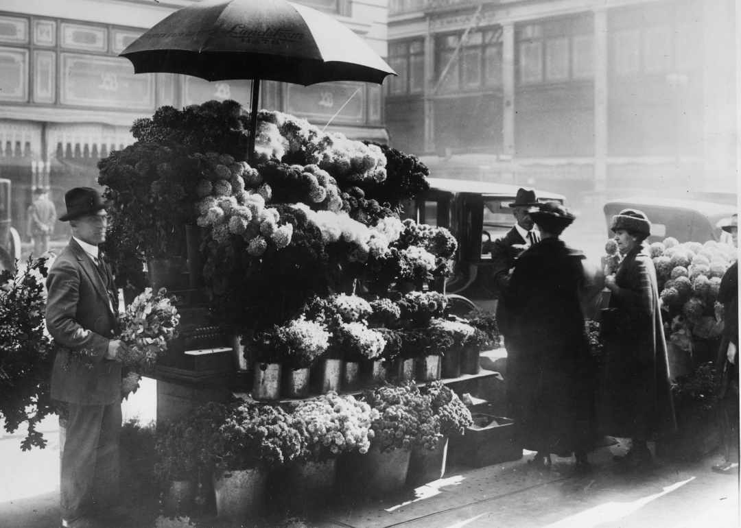 #50. Gardeners, florists, fruit growers, and nurserymen